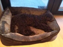 Scruffs Hondenmand Chester Graphite -Huisdierbenodigdheden image 445