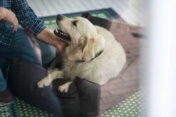 Hunter Hondenmand Boston Bruin -Huisdierbenodigdheden image 457