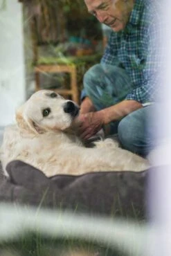 Hunter Hondenmand Boston Bruin -Huisdierbenodigdheden image 458