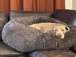 District70 Hondenmand Donut Fuzz Donkergrijs -Huisdierbenodigdheden image 471