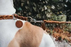 Hunter Hondenriem Solid Education Cognac -Huisdierbenodigdheden image 529