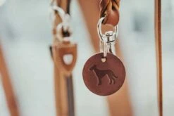 Hunter Hondenriem Solid Education Cognac -Huisdierbenodigdheden image 530