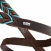 Hunter Hondenriem Solid Education Cord Bruin Turquoise -Huisdierbenodigdheden image 533