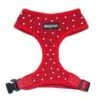 Wagytail Hondentuig Rood Met Swarovski