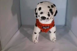 Wagytail Hondentuig Rood Met Swarovski -Huisdierbenodigdheden image 56