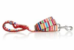 DOOG Hondenriem Neopreen Clip It Scooby -Huisdierbenodigdheden image 564