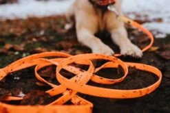 Hunter Jachtlijn Hond Convenience Oranje -Huisdierbenodigdheden image 569