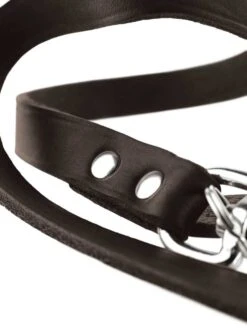Hunter Verstelbare Hondenriem Aalborg Donkerbruin -Huisdierbenodigdheden image 588