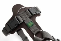 Hunter Hondentuig Aalborg Mixed Bruin -Huisdierbenodigdheden image 62