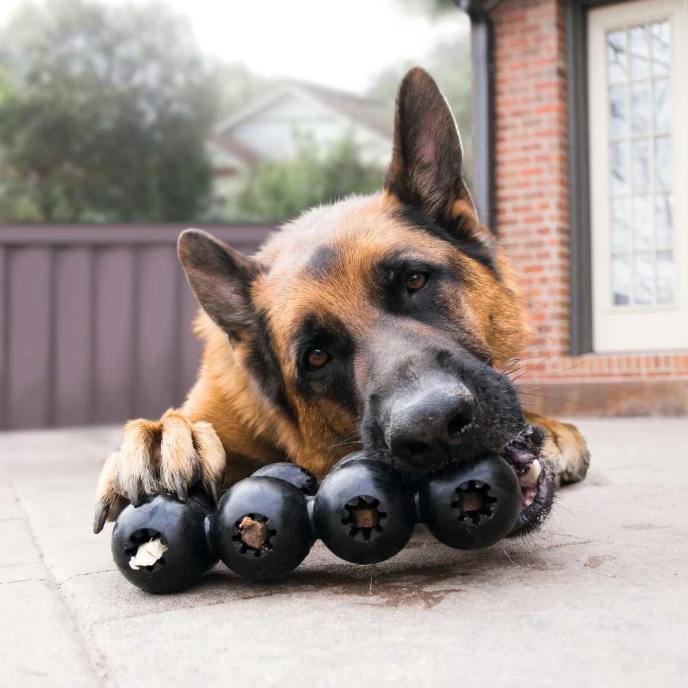 Kong Hondenspeelgoed Extreme Goodie Ribbon 4 Kong Hondenspeelgoed Extreme Goodie Ribbon - Afbeelding 2