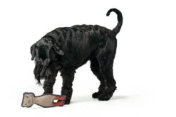 Hunter Hondenspeelgoed Pombas -Huisdierbenodigdheden image 642