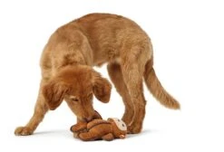 Hunter Hondenspeelgoed Tough Toys -Huisdierbenodigdheden image 650