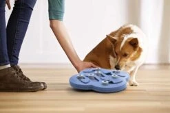 Nina Ottosson Hondenpuzzel Hide N' Slide Composiet -Huisdierbenodigdheden image 681