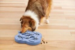 Nina Ottosson Hondenpuzzel Hide N' Slide Composiet -Huisdierbenodigdheden image 682