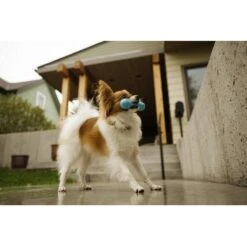 West Paw Design Hondenspeelgoed Zogoflex Hurley Aqua -Huisdierbenodigdheden image 702