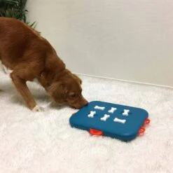 Nina Ottosson Hondenpuzzel Casino -Huisdierbenodigdheden image 749