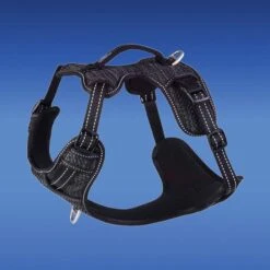 Rogz Hondentuig Explore Harness Zwart -Huisdierbenodigdheden image 75