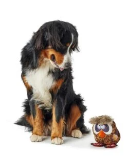 Hunter Hondenspeelgoed Gurupi -Huisdierbenodigdheden image 753