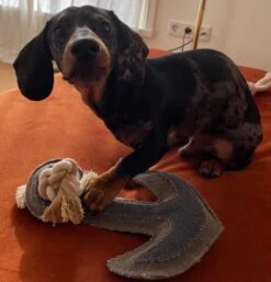 Hunter Hondenspeelgoed Canvas Anchor -Huisdierbenodigdheden image 761