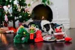 P.L.A.Y. Hondenspeelgoed Merry Woofmas - Santa's Little Elfer -Huisdierbenodigdheden image 768