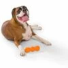 West Paw Design Hondenspeelgoed Zogoflex Rumpus Oranje -Huisdierbenodigdheden image 770