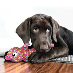 Kong Hondenspeelgoed Wubba Finz -Huisdierbenodigdheden image 776