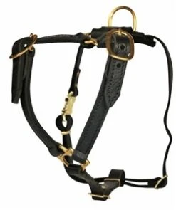 Dean And Tyler Hondentuig Tyler's Choice