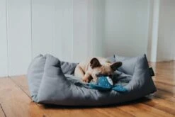 Hunter Hondenspeelgoed Tirana -Huisdierbenodigdheden image 831