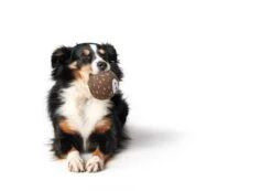 Hunter Hondenspeelgoed Tirana -Huisdierbenodigdheden image 833