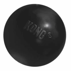Kong Hondenspeelgoed Ball Extreme