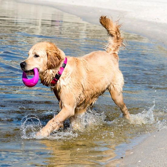 Rogz Hondenspeelgoed Pop Upz Roze