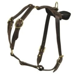 Dean And Tyler Hondentuig Tyler's Choice -Huisdierbenodigdheden image 86