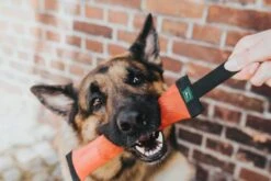 Hunter Dummy Trient -Huisdierbenodigdheden image 862