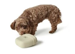 Hunter Beloningszakje Lugo Beige -Huisdierbenodigdheden image 875