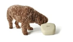 Hunter Beloningszakje Lugo Beige -Huisdierbenodigdheden image 876