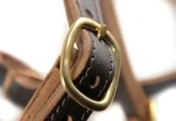 Dean And Tyler Hondentuig Tyler's Choice -Huisdierbenodigdheden image 89