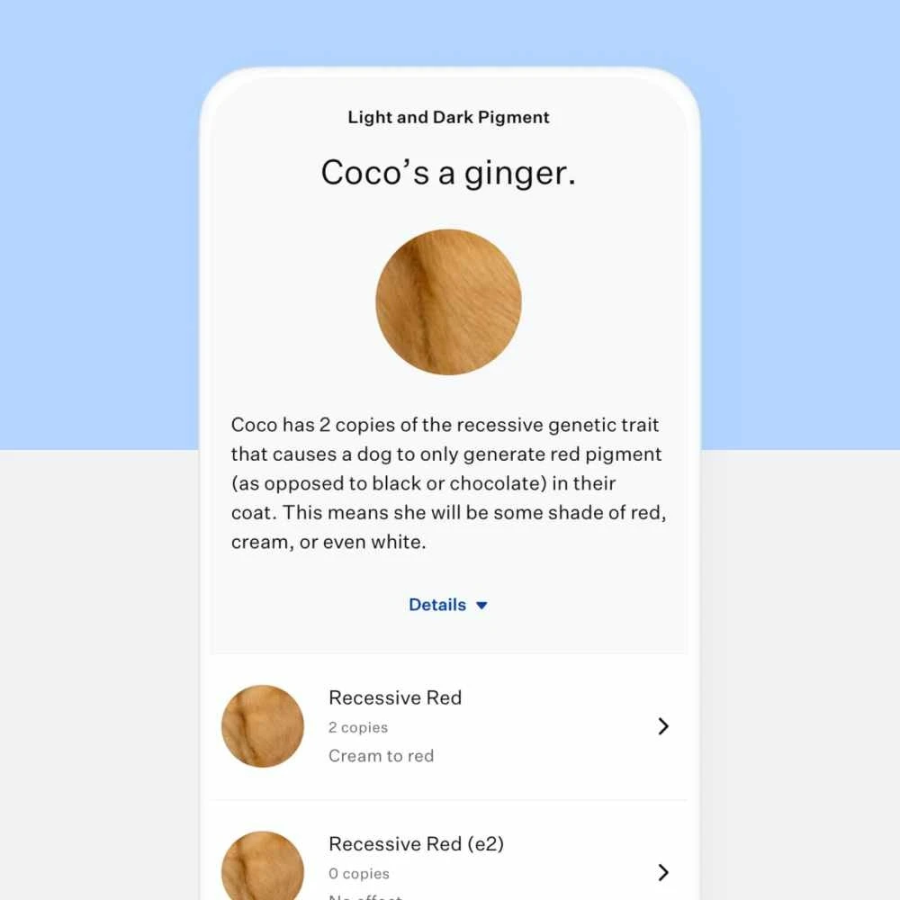 Wisdom Panel Essential DNA Test 4 Wisdom Panel Essential DNA Test - Afbeelding 2