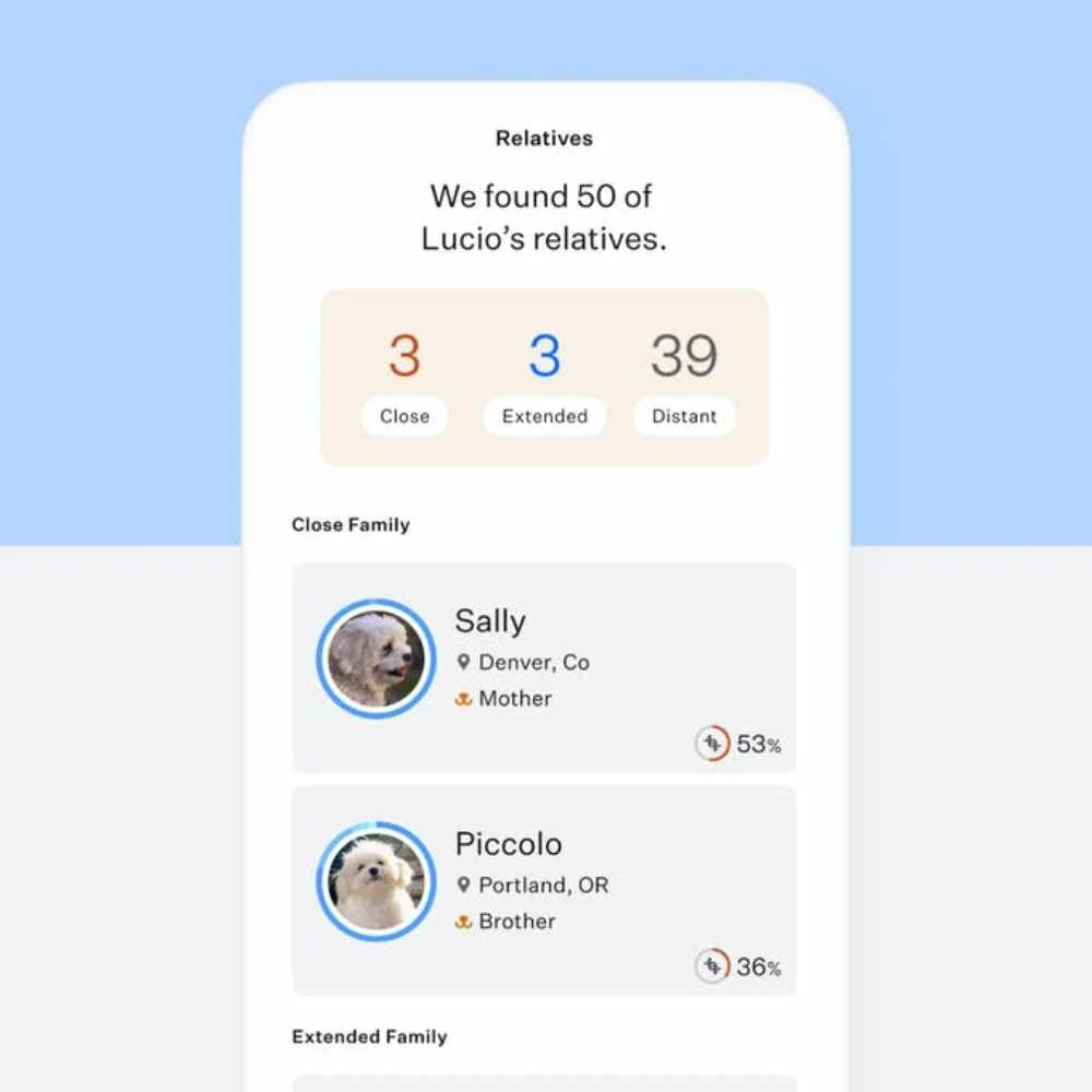 Wisdom Panel Essential DNA Test 6 Wisdom Panel Essential DNA Test - Afbeelding 4