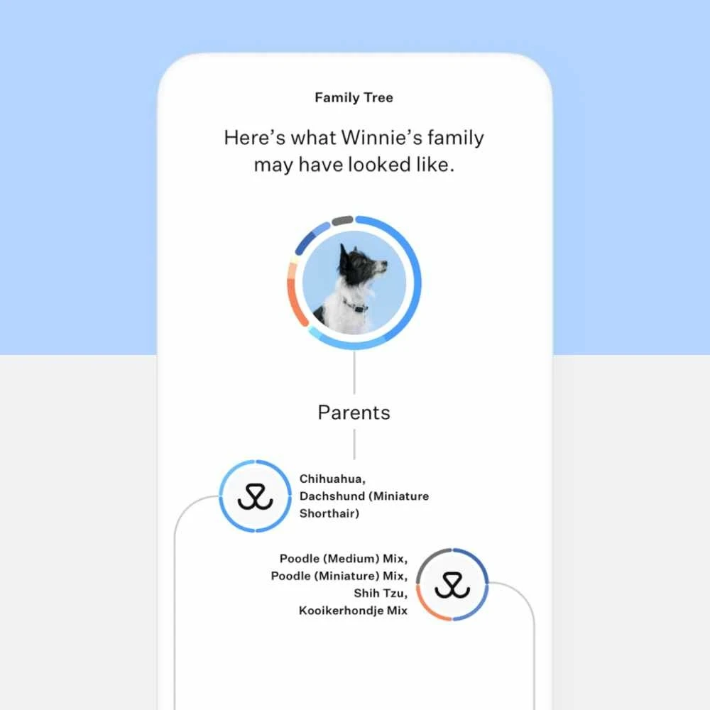 Wisdom Panel Essential DNA Test 7 Wisdom Panel Essential DNA Test - Afbeelding 5