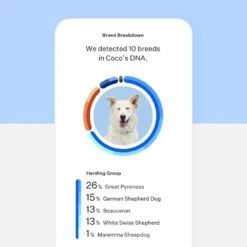 Wisdom Panel Essential DNA Test 13 Wisdom Panel Essential DNA Test -Huisdierbenodigdheden image 949