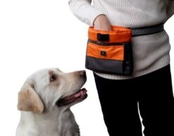 EQDOG Beloningszakje Click And Treat Oranje