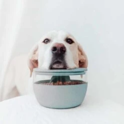 District70 Voorraadpot Treat Jar Ice Blue